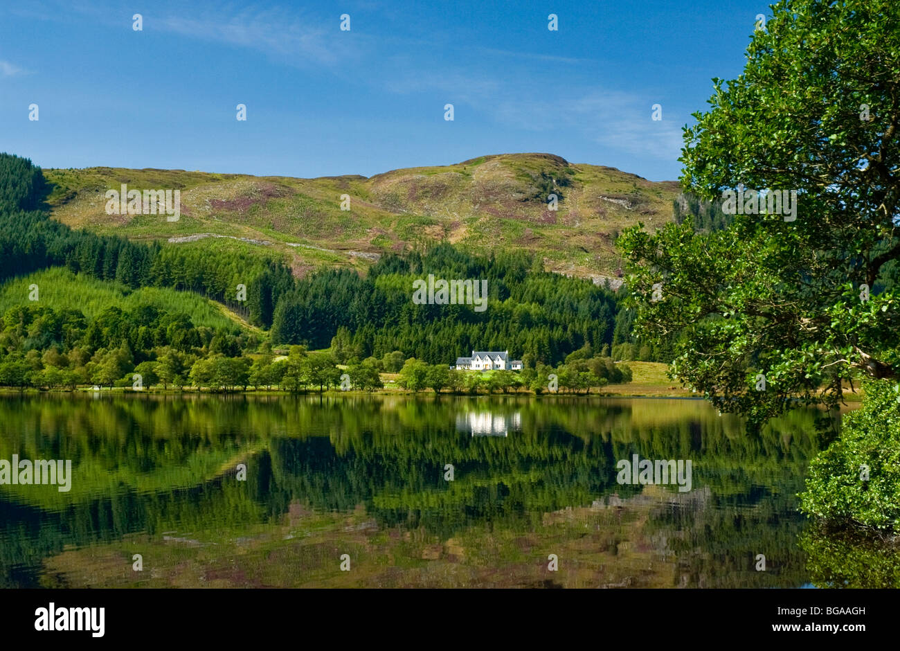 Riflessioni sul Loch Chon nr Aberfoyle Trossachs Stilring District Loch Lomond & Trossachs Parco Nazionale di Scozia Foto Stock
