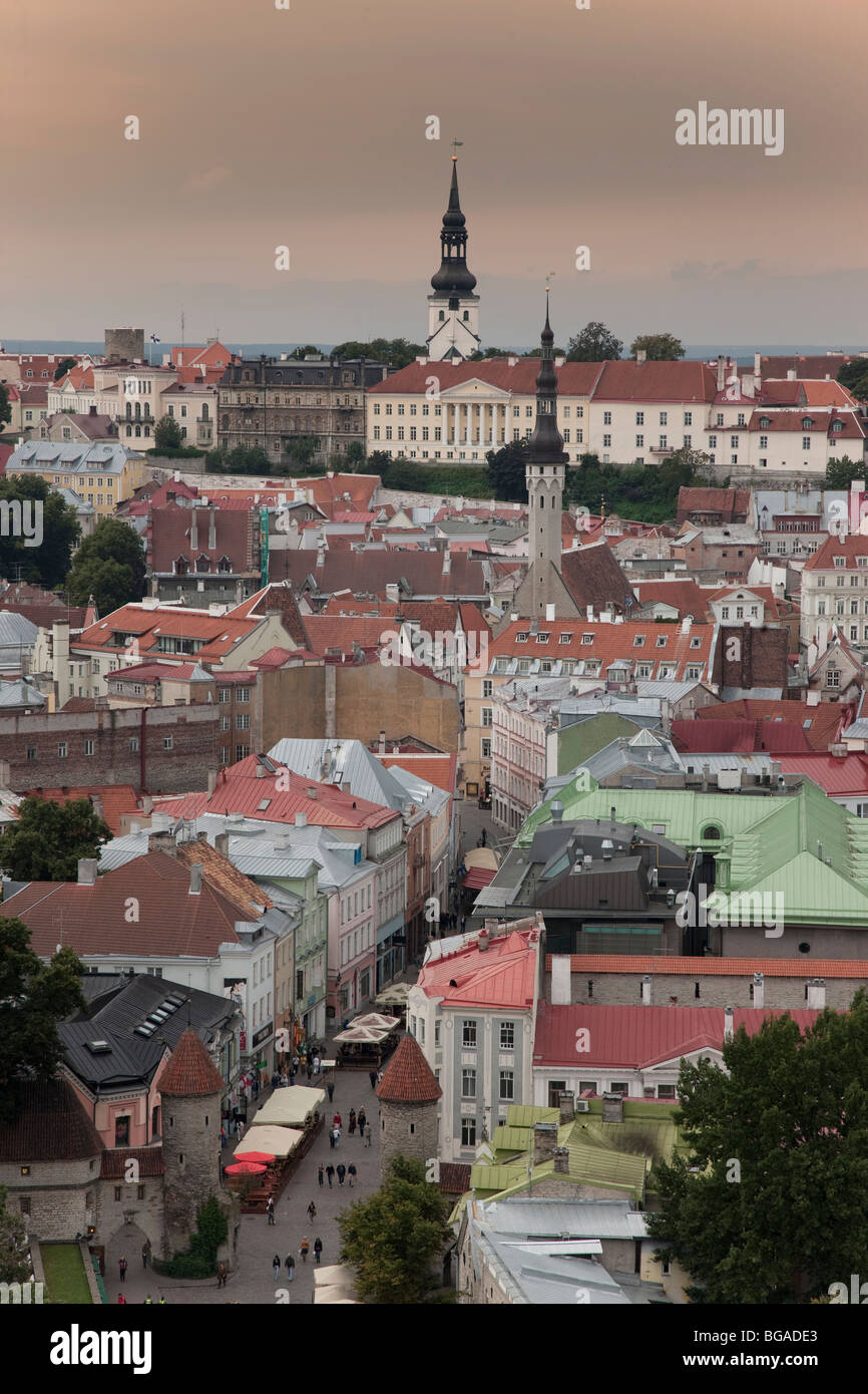 L'Europa. Stati baltici. L'Estonia. Tallinn. Foto Stock