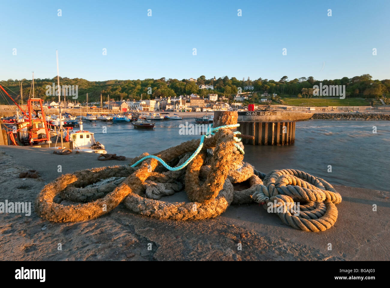 Lyme Regis Dorset Inghilterra harbour inizio estate mattina con corda in primo piano Foto Stock