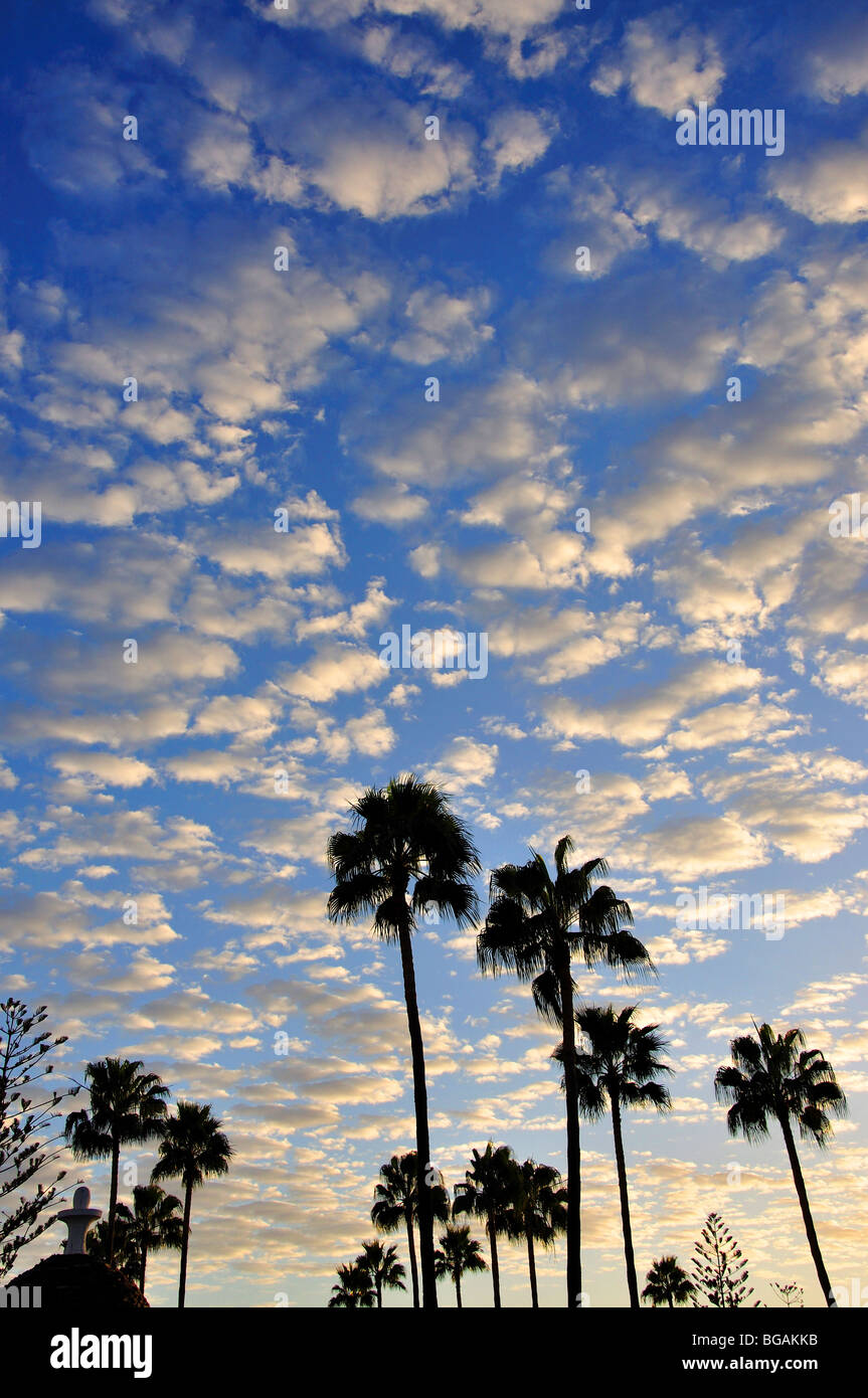 Nuvole nel Cielo di tramonto, Playa del Ingles San Bartolome de Tirajana comune, Gran Canaria Isole Canarie Spagna Foto Stock