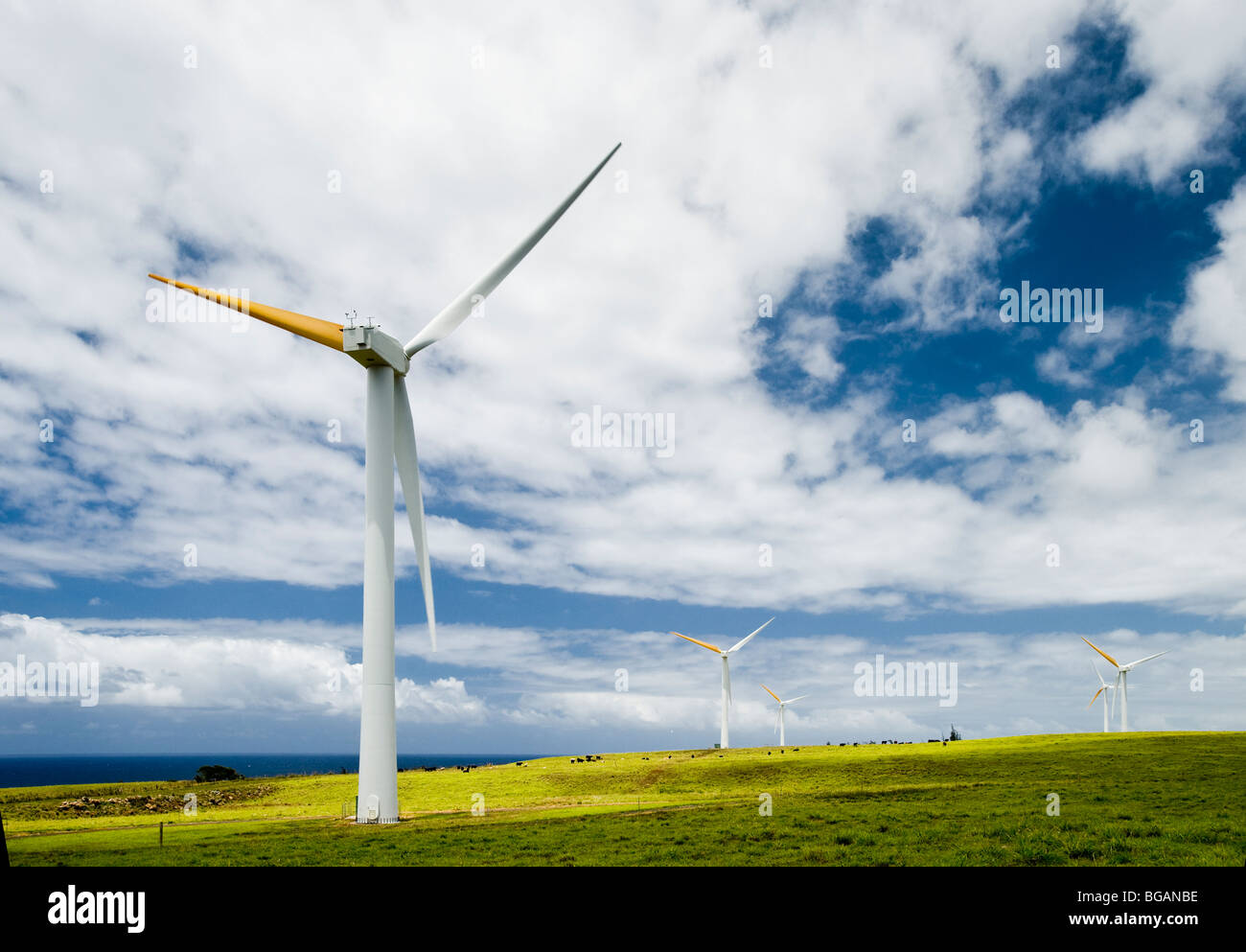 Turbina eolica macchine a Hawi sviluppo rinnovabile Wind Farm, Upolu Point, North Kohala distretto, Hawi, Hawaii Foto Stock