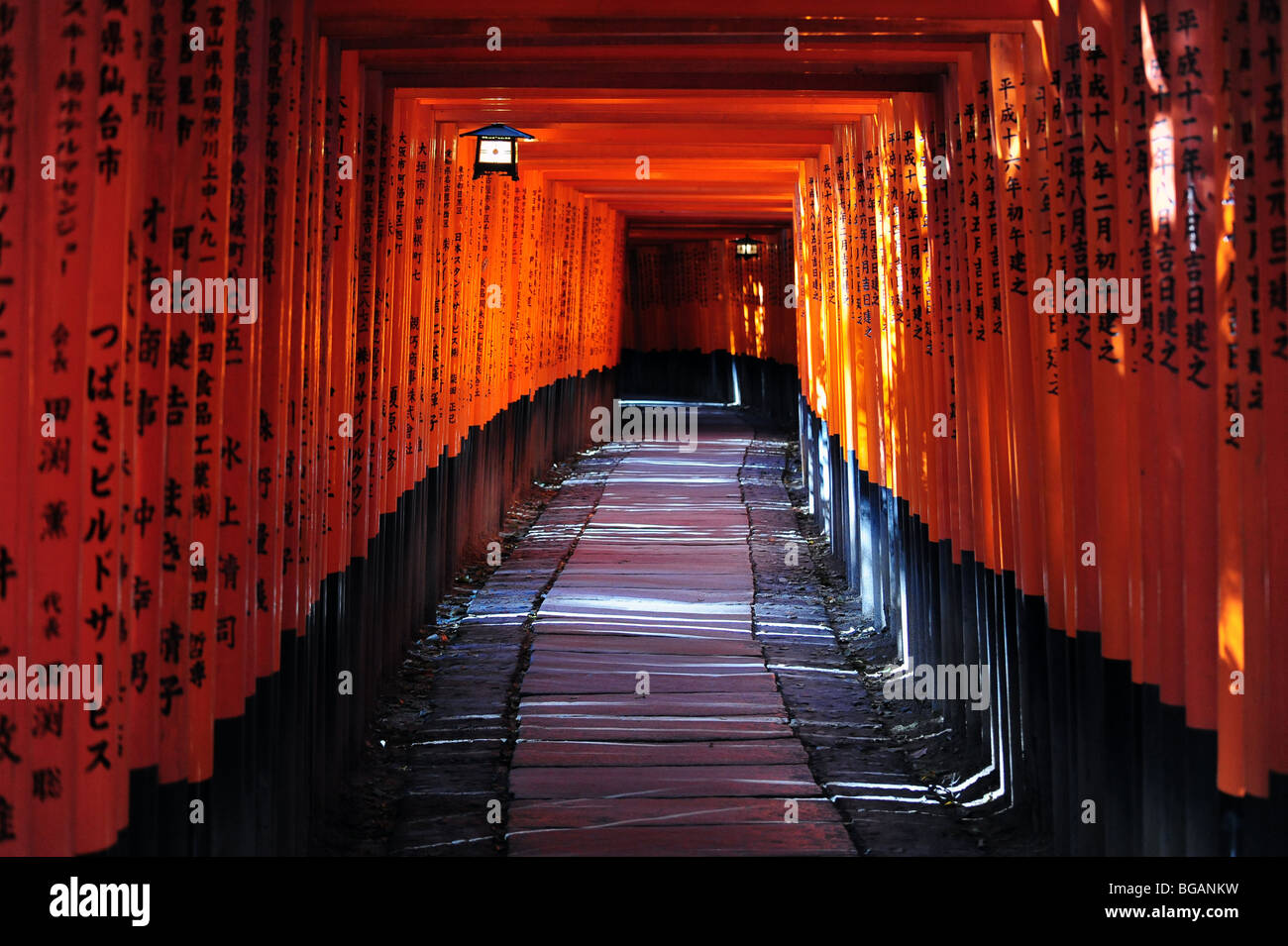 Torii, o cancelli rossi, linea un percorso a Fushimi Inari santuario vicino alla antica città giapponese di Kyoto nel marzo 2009. Foto Stock