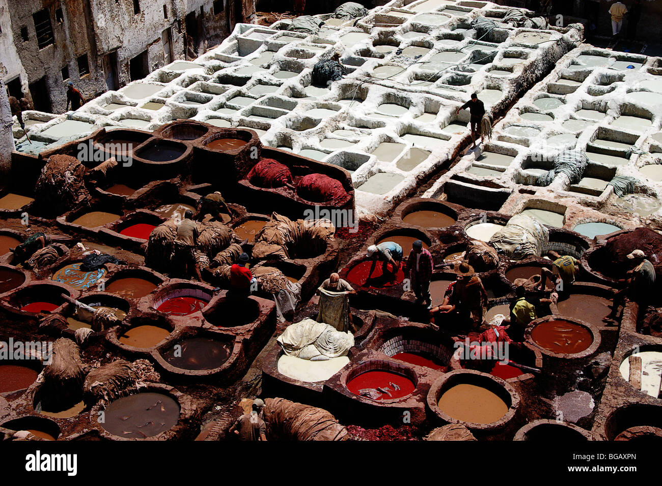 La conceria in pelle in Fes, Marocco 1 Foto Stock