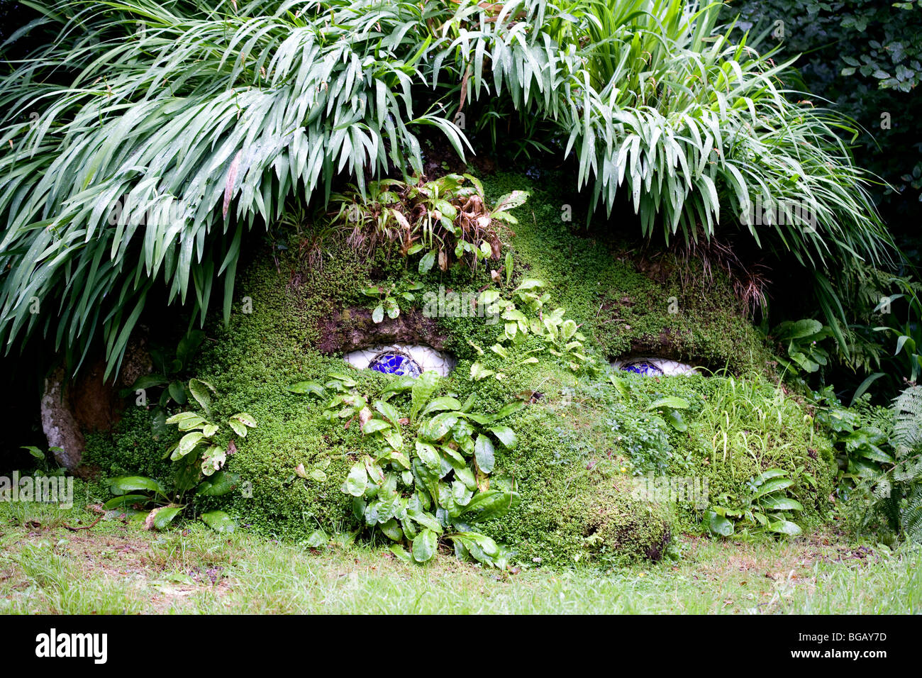 Il gigante della testa della scultura di fango nel Giardino Perduto di Heligan, Cornwall, Regno Unito Foto Stock