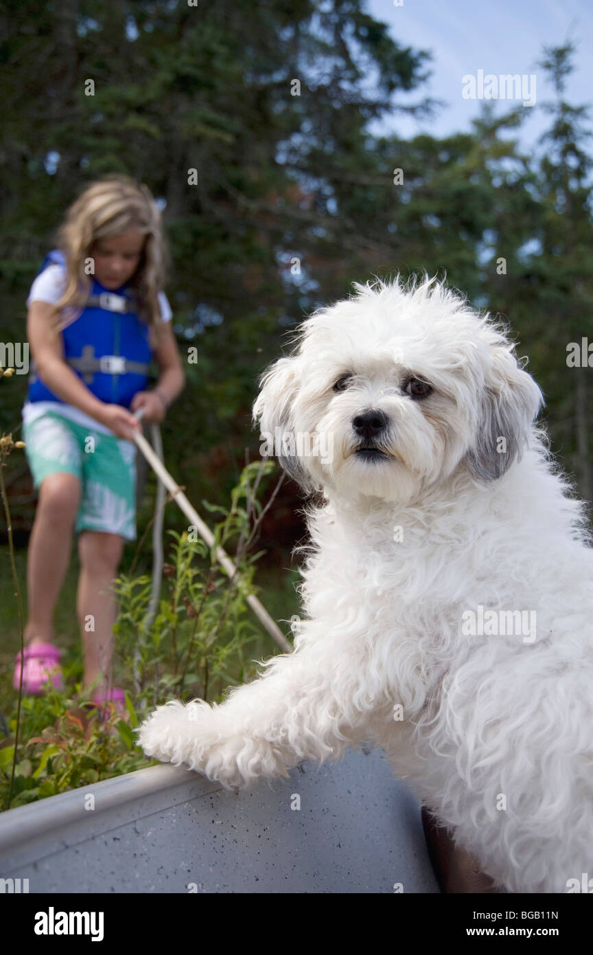 Bambina con un piccolo cane bianco; il lago dei boschi, Lulu, Ontario, Canada Foto Stock