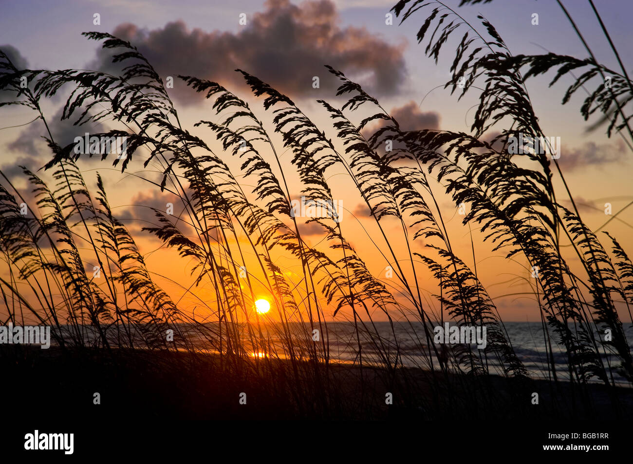Dune di sabbia e di erba Ance, con Sunrise presso la spiaggia , Hilton Head Island, South Carolina, STATI UNITI D'AMERICA Foto Stock
