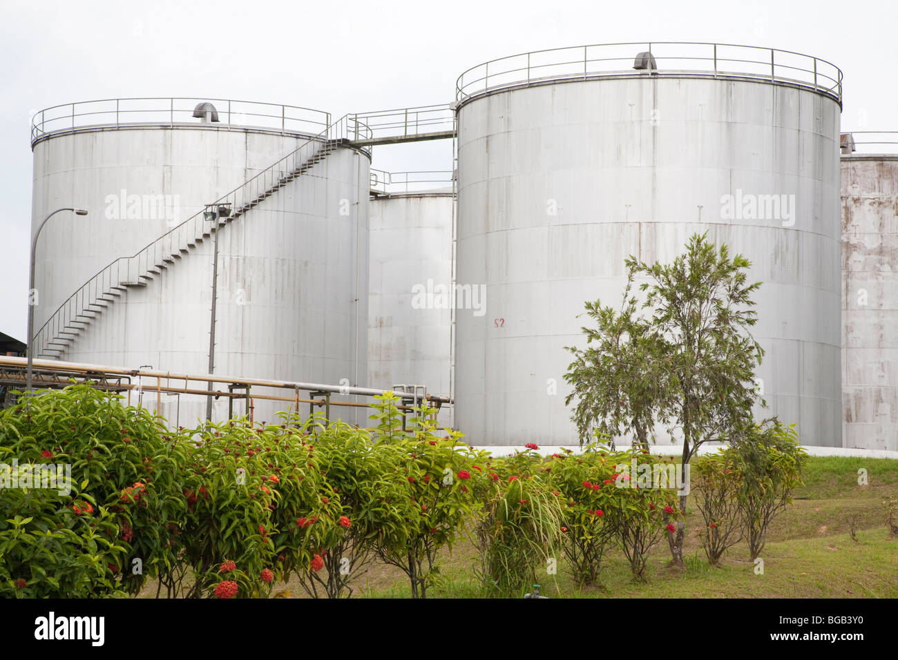 Contenitore di stoccaggio di olio di palma greggio. Il Palm Sindora Frantoio, Malaysia. Foto Stock