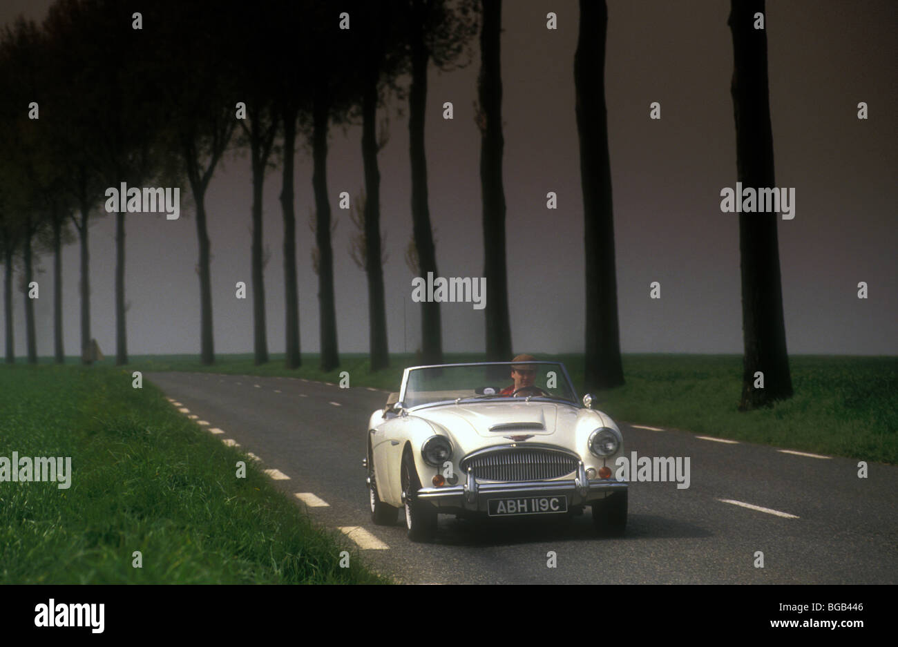 1965 Austin Healey 3000 la guida su un percorso stradale nazionale in Francia Foto Stock