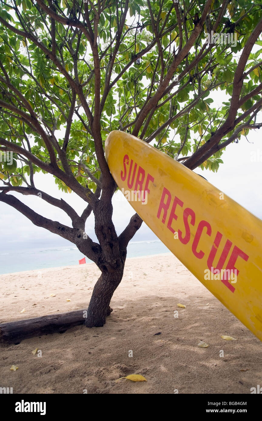 La spiaggia di Nusa Dua, Nusa Dua, Bali, Indonesia; mezzo di salvataggio appoggiata su albero Foto Stock