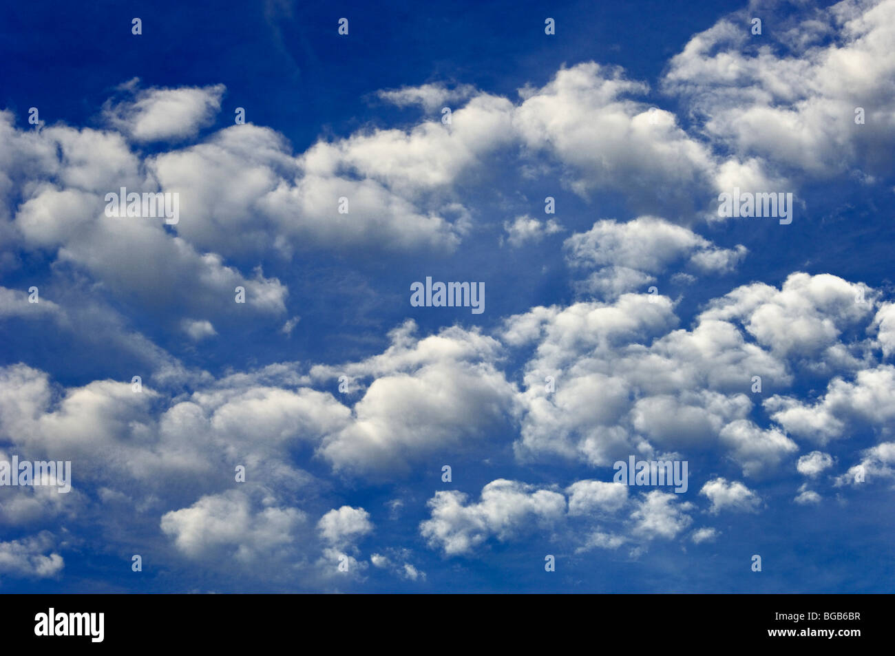 White Cumulus nubi in un cielo blu Foto Stock