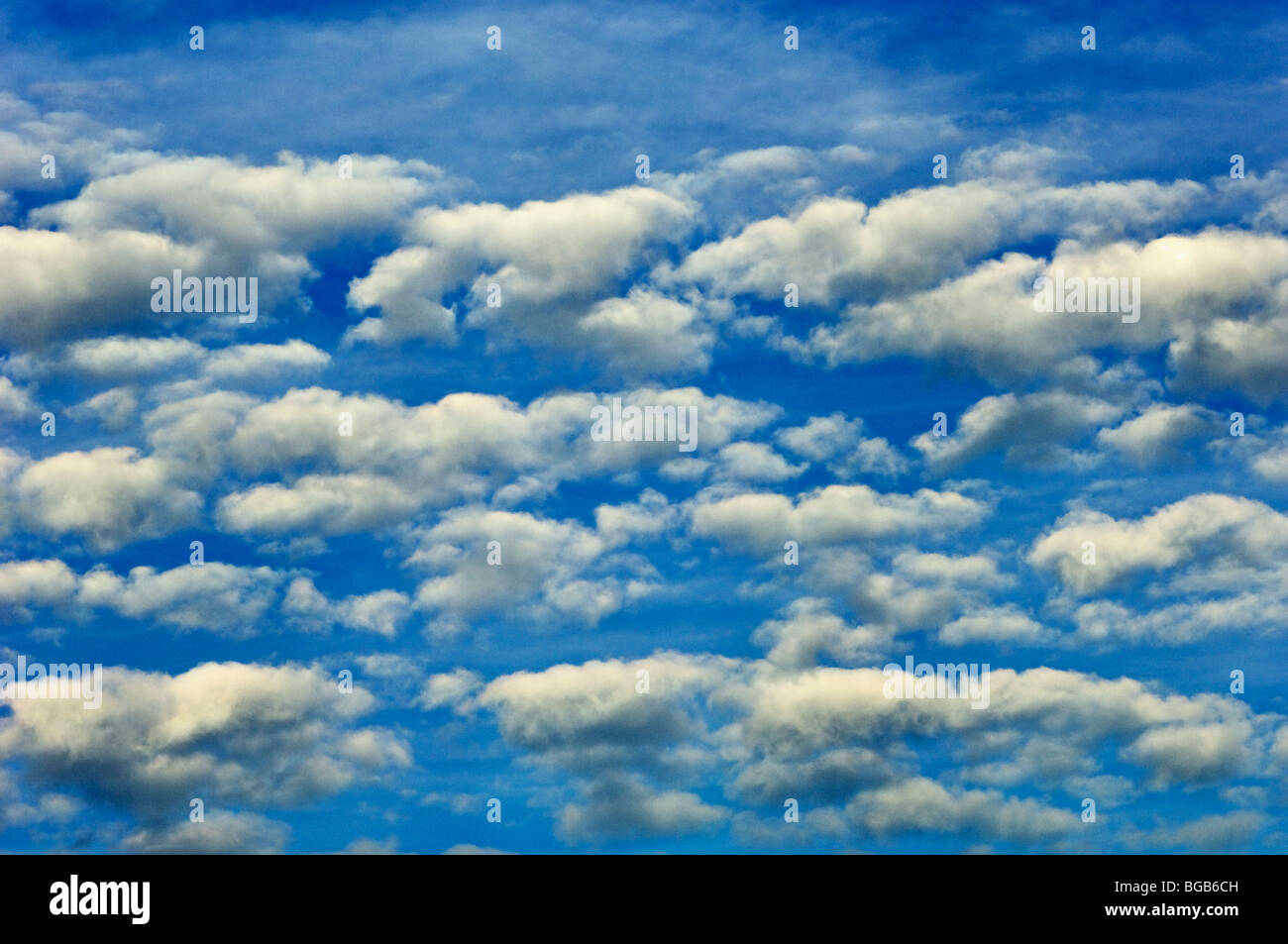 White Cumulus nubi in un cielo blu Foto Stock