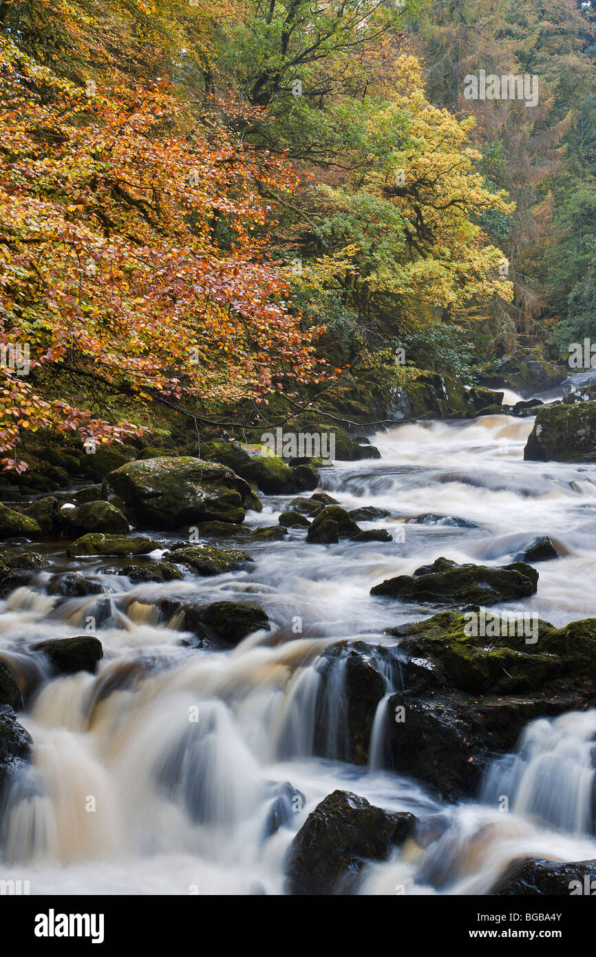 Le Cascate di Braan in autunno Foto Stock