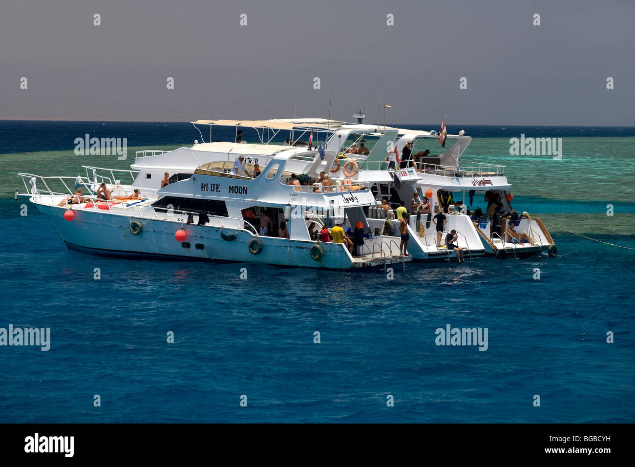 Africa, Egitto Sharm el Sheikh, sull'isola di Tiran, barca, costa, colori, Coral reef, snorkeling, acqua, persone, diving, ragazzi Foto Stock