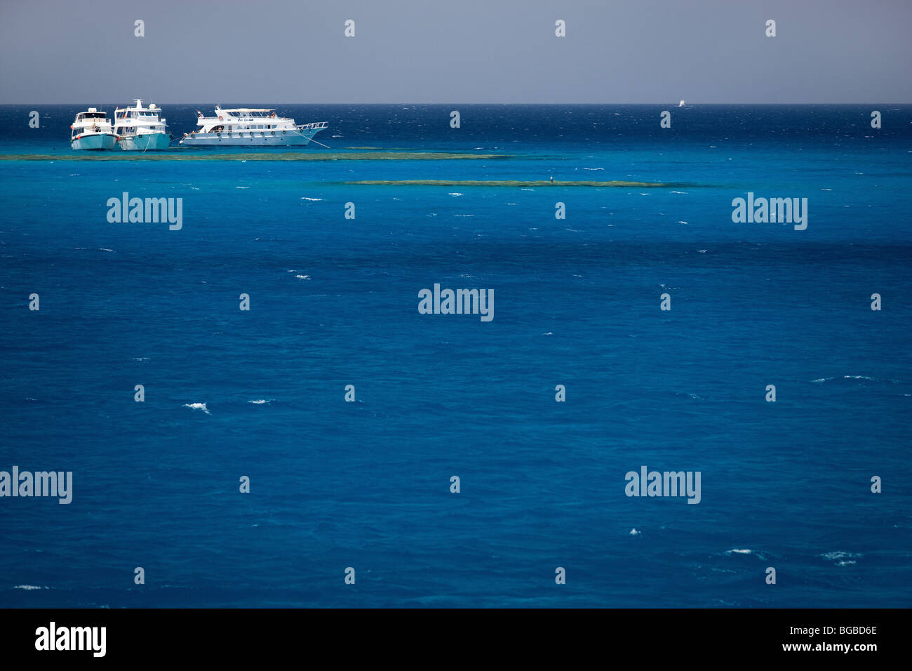 Africa, Egitto Sharm el Sheikh, sull'isola di Tiran, barca, costa, colori, immersioni, diving, Coral reef Foto Stock