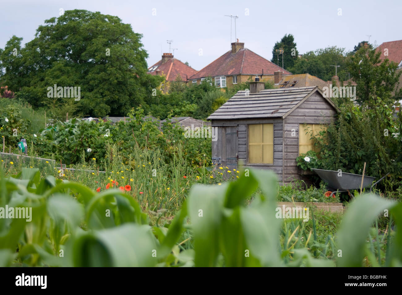 Riparto grafico che mostra la tettoia in legno, carriola e case in background Foto Stock