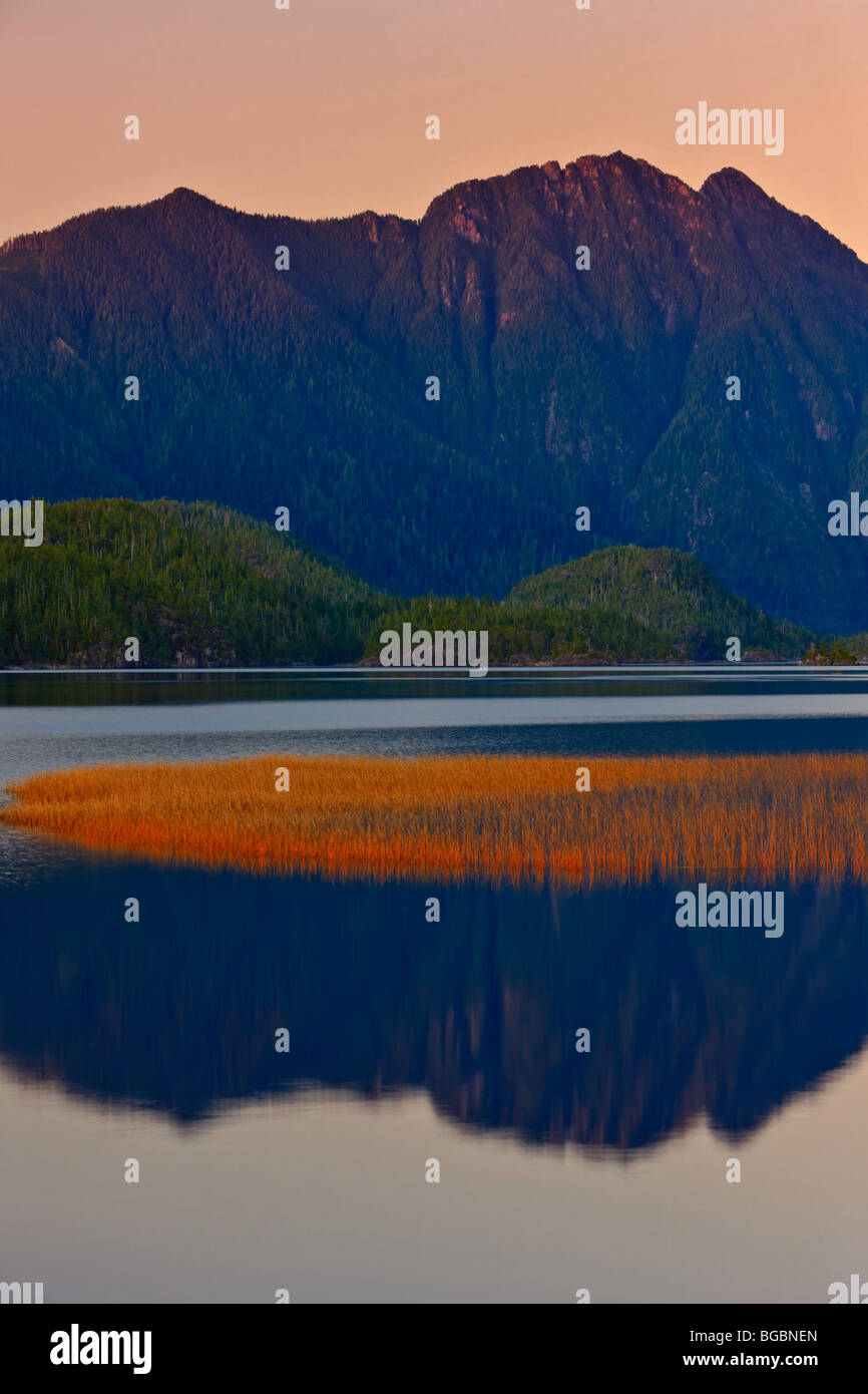 Mountain riflessioni sul braccio Clayoquot del Lago Kennedy, una zona di transizione del Clayoquot Sound Riserva della Biosfera dall'UNESCO, va Foto Stock