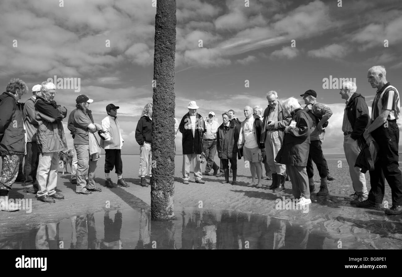 Archeologia costiera evento Foto Stock