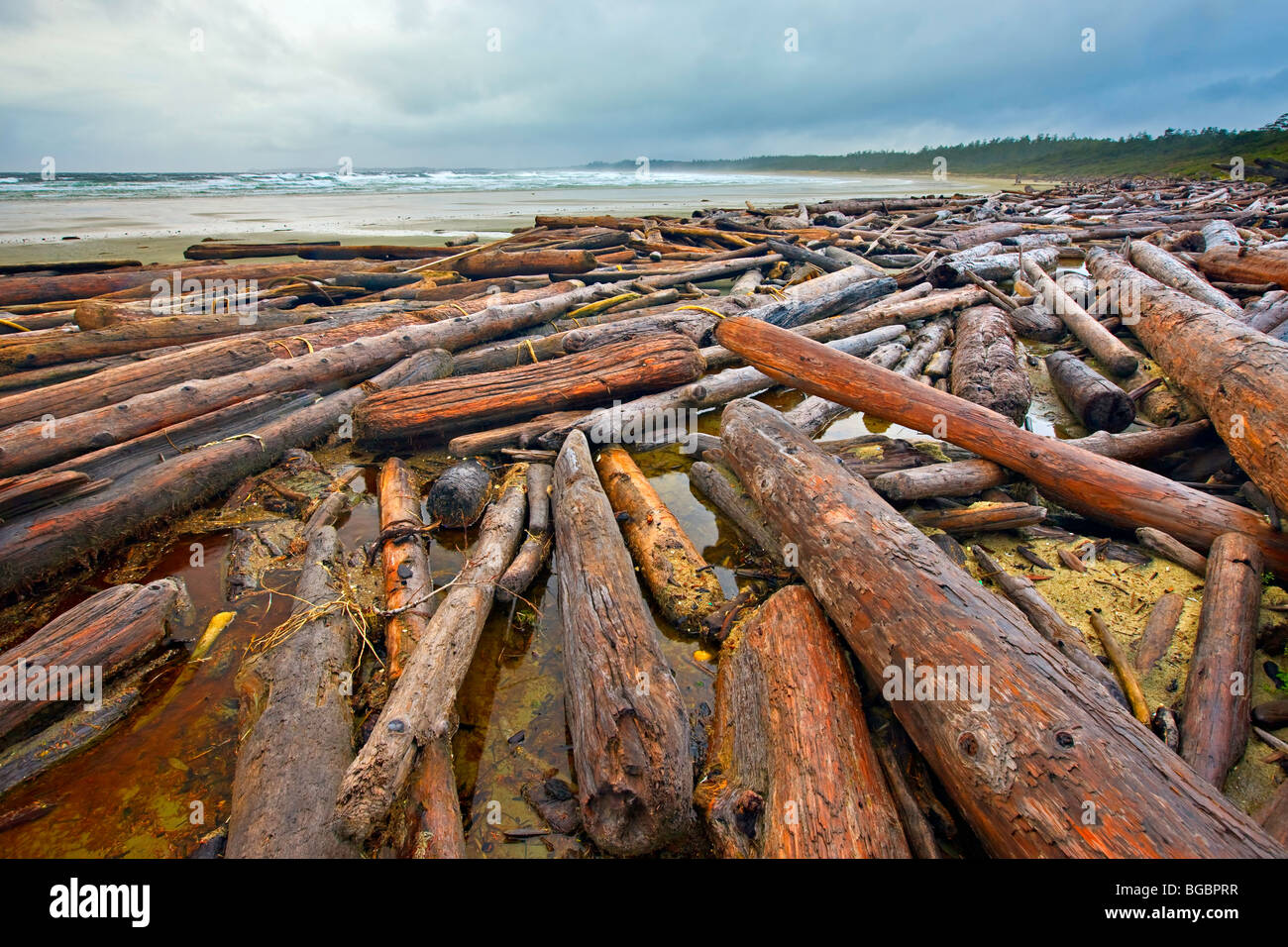 Driftwood disseminate lungo Wickaninnish Beach e la ruvida delle acque dell'Oceano Pacifico, Wickaninnish Bay, Pacific Rim National Park Foto Stock