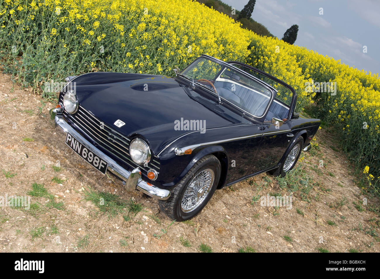 Trionfo TR5 Classic British open auto sportiva Foto Stock