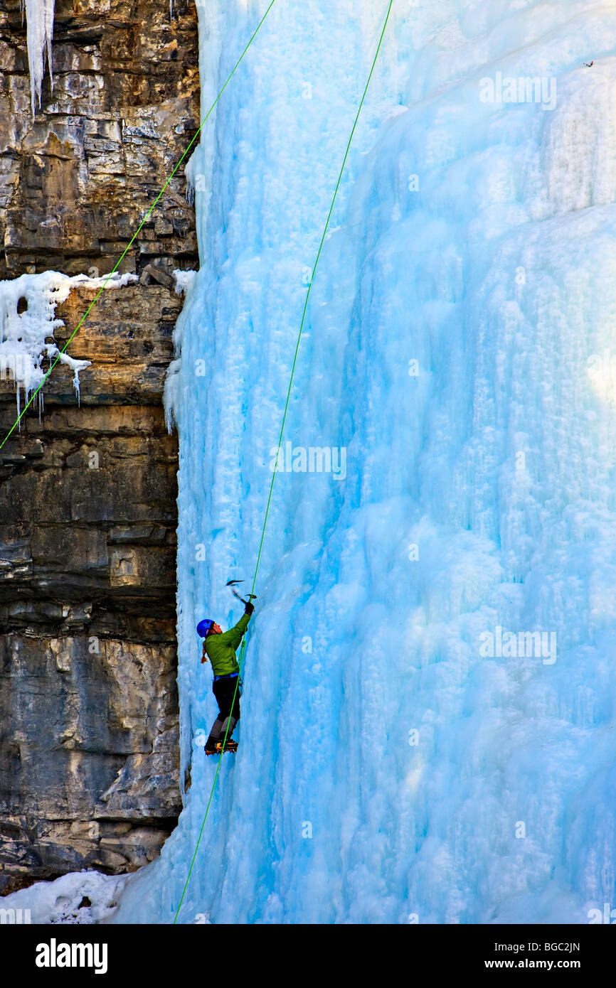 Ice Climber sulla Upper Falls del Johnston Creek durante l'inverno, Johnston Canyon, il Parco Nazionale di Banff, Canadian Rocky Mountai Foto Stock