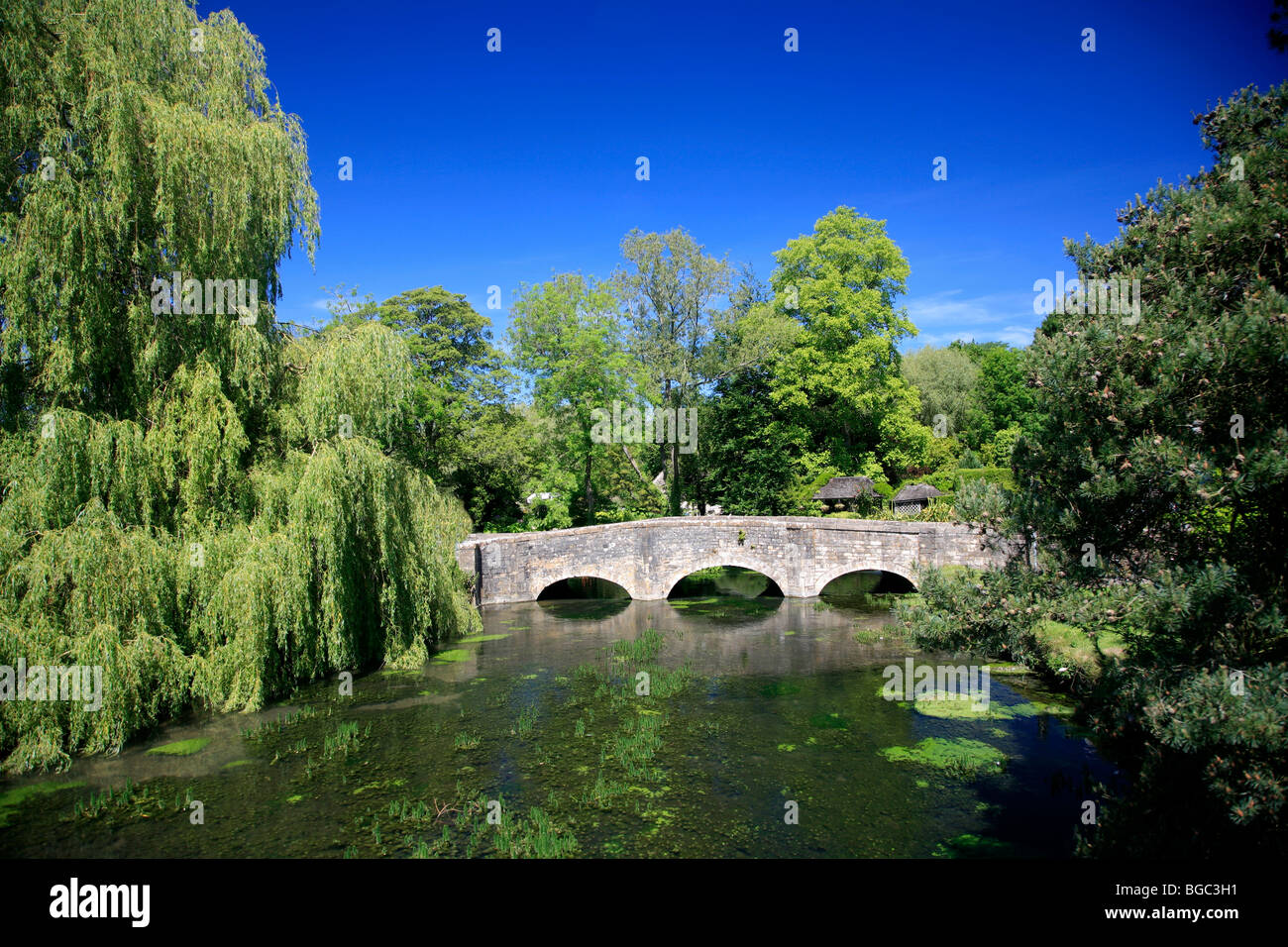 Fiume Coln Bibury village Gloucestershire Cotswolds Inghilterra REGNO UNITO Foto Stock