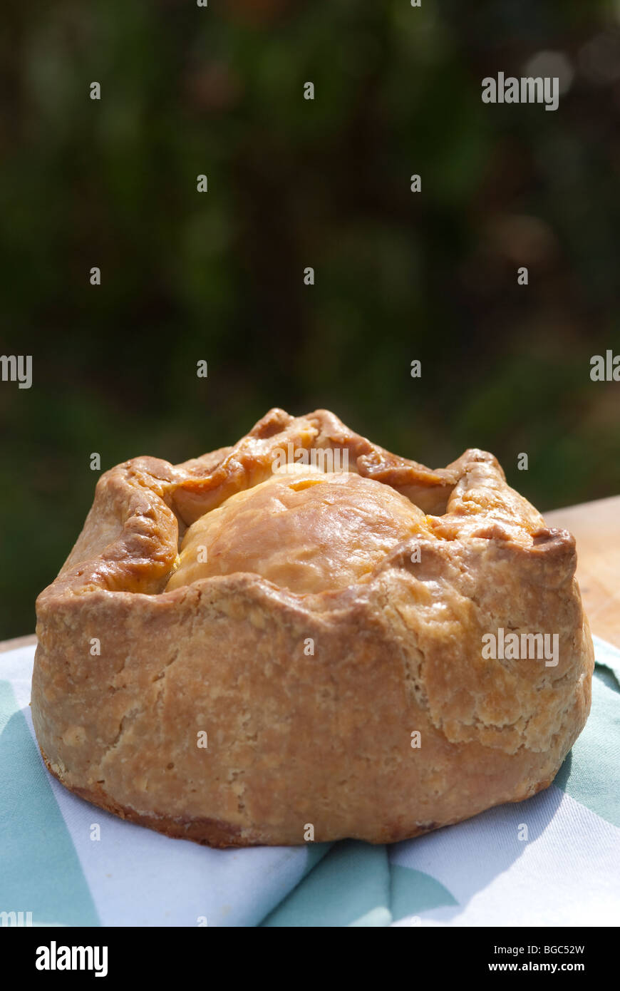 Tradizionale fatto a mano pasticcio di maiale Foto Stock