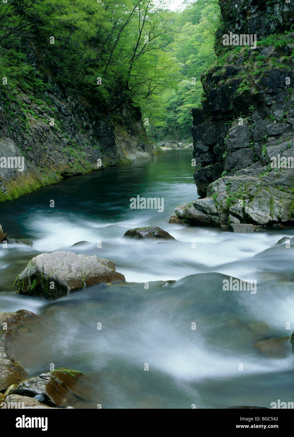 Il fiume Natori, Sendai Miyagi, Giappone Foto Stock