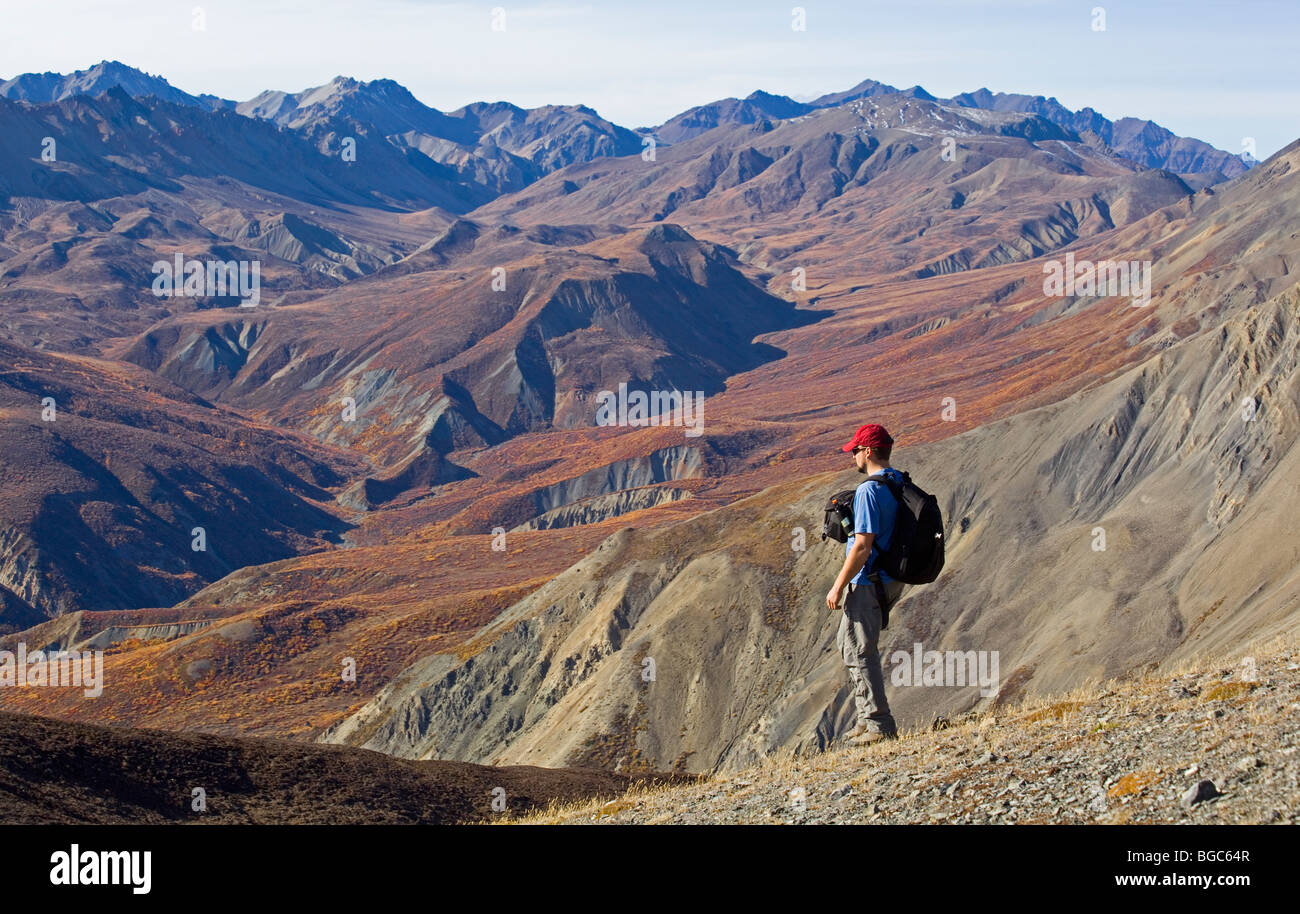 Escursionista, uomo escursionismo, vista dalla montagna di pecora al Castello Rosso Ridge, San Elias montagne, Parco Nazionale Kluane e riserva, Yukon T Foto Stock
