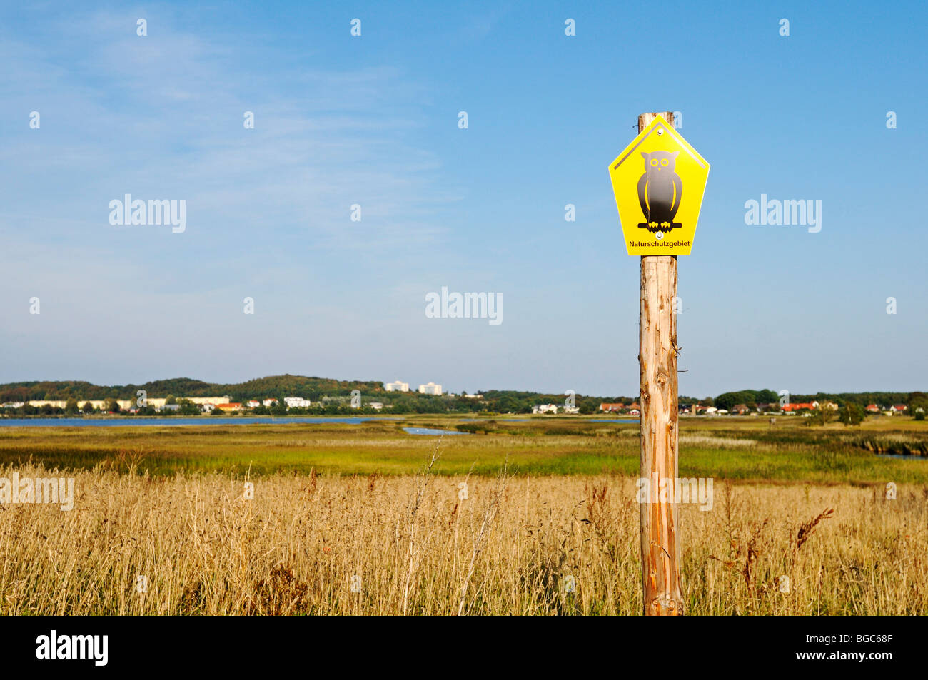 Segno Naturschutzgebiet, riserva naturale nel Biosphaerenreservat Suedost-Ruegen Riserva della Biosfera, Ruegen isola, Mecklenburg- Foto Stock