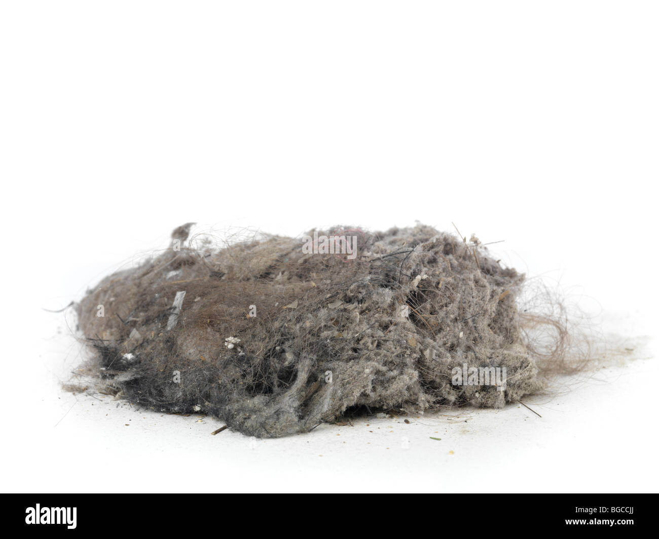 Pila di polvere e i capelli raccolti con un aspirapolvere isolati su sfondo bianco Foto Stock