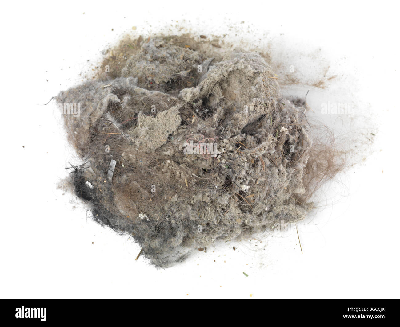 Pila di polvere e i capelli raccolti con un aspirapolvere isolati su sfondo bianco Foto Stock