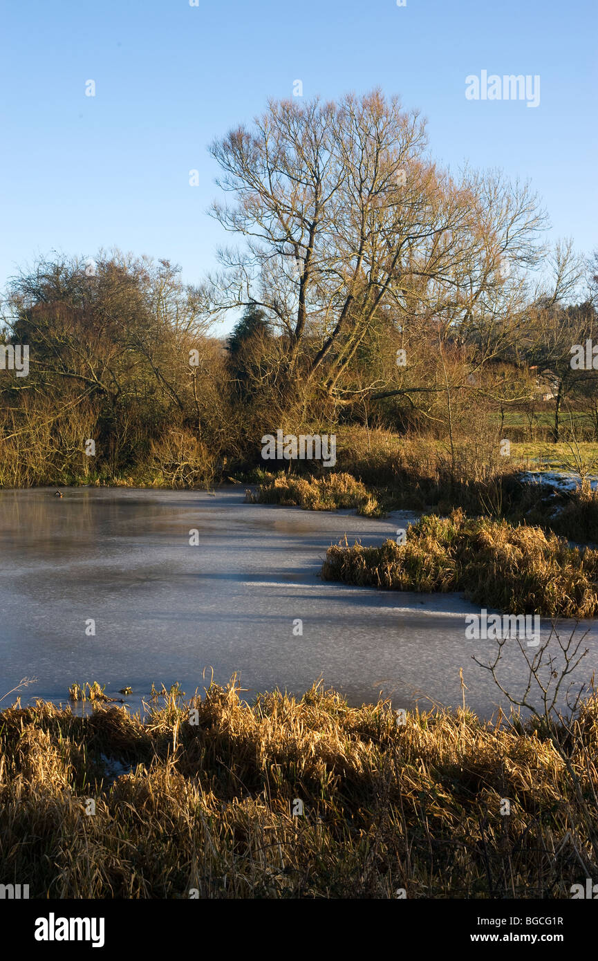 Congelati paesaggio con iced sul lago, (giorno di Natale 2009 in Paulton, Bristol, Somerset) Foto Stock