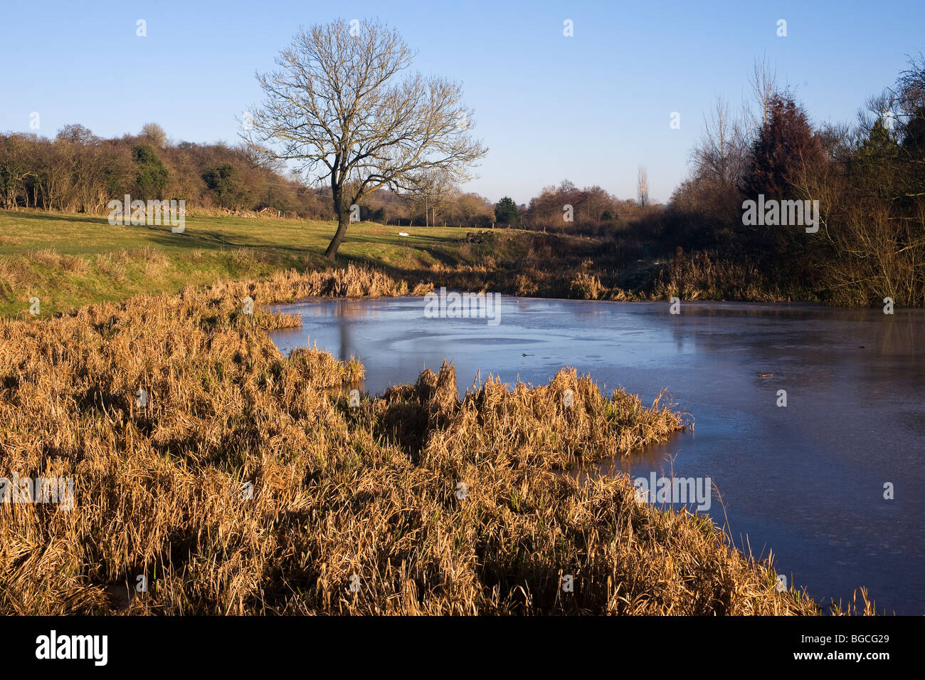 Congelati paesaggio con iced sul lago, (giorno di Natale 2009 in Paulton, Bristol, Somerset) Foto Stock
