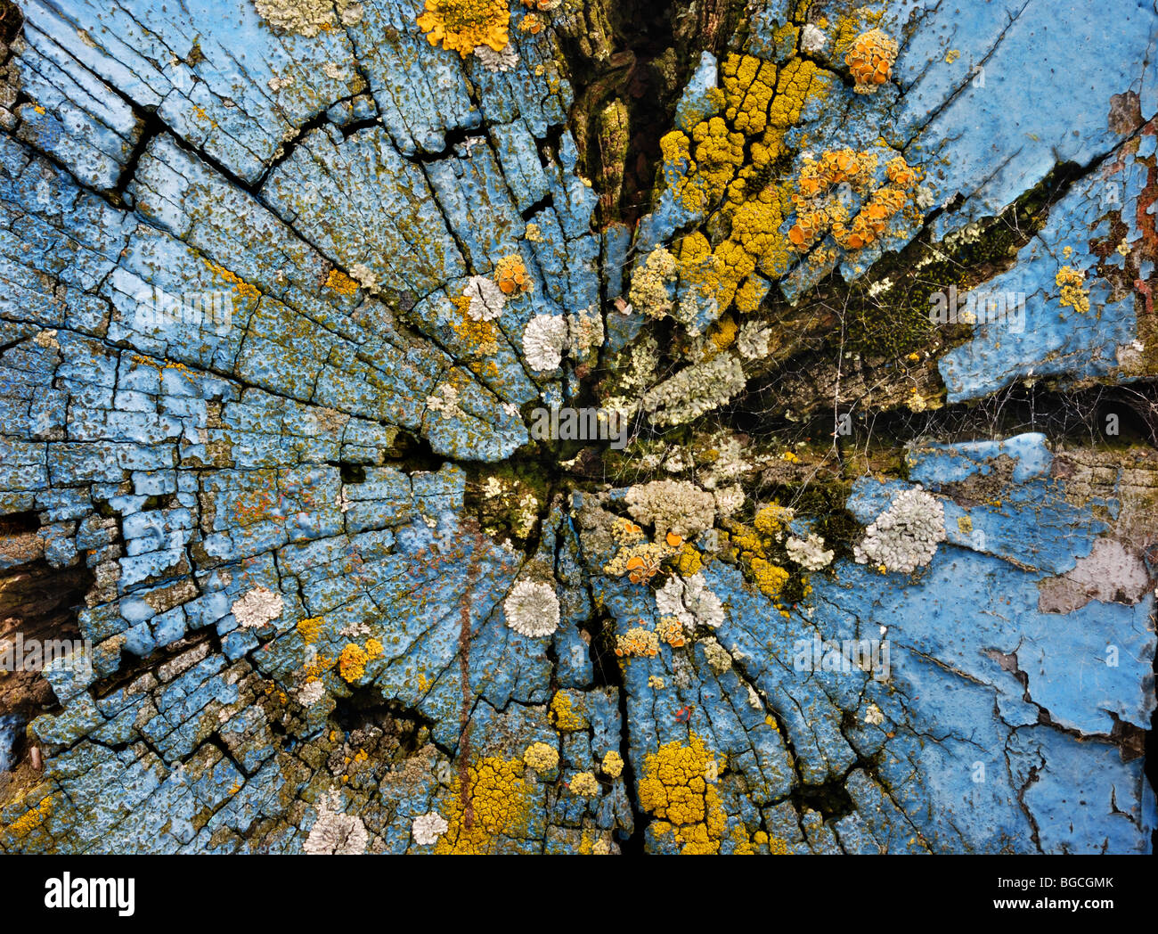 Navi in legno travi, marciume Foto Stock