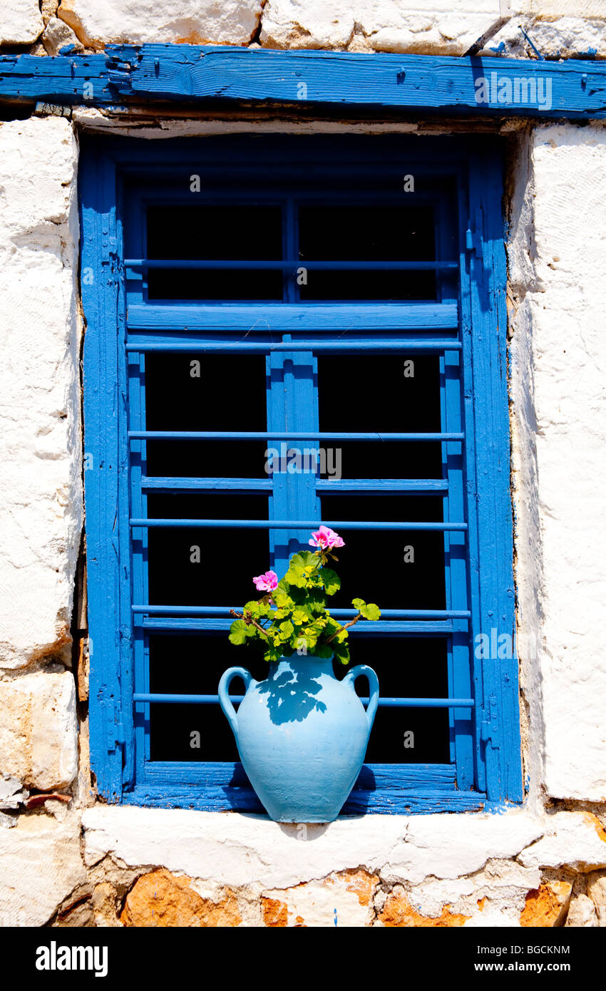 Un blu vaso in terracotta detiene una rosa fioritura delle piante su un davanzale. La finestra è una ricca Grecian blu in una casa in rovina Foto Stock