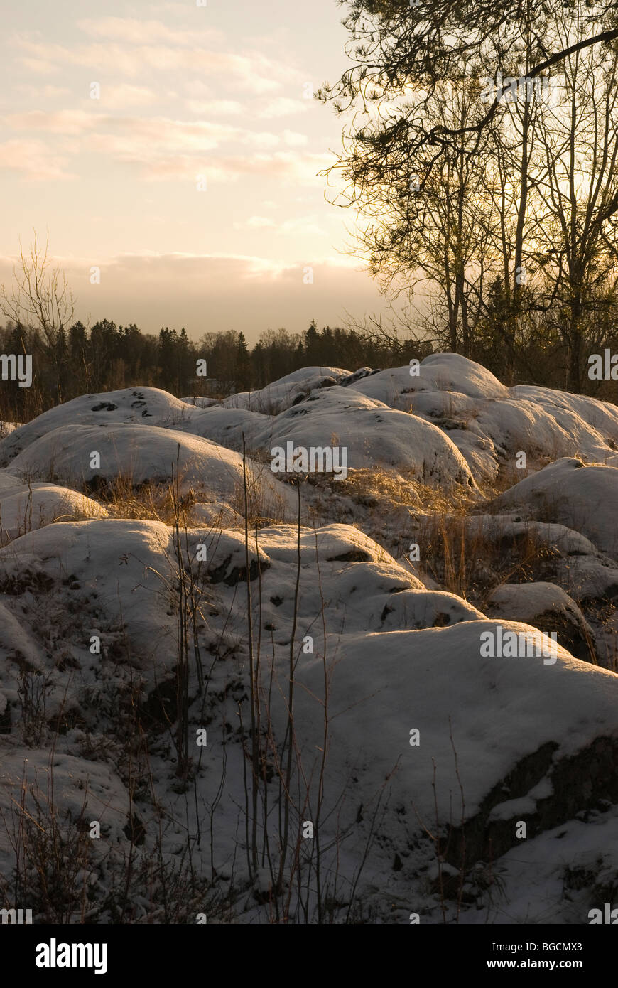 Sun bassa sopra l'inverno paesaggio finlandese Foto Stock