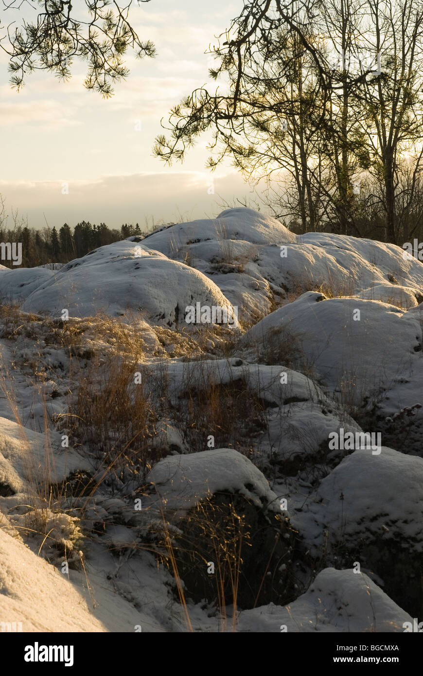 Inverno finlandese paesaggio di roccia Foto Stock