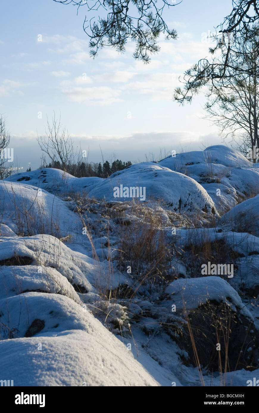 Il finlandese paesaggio invernale Foto Stock