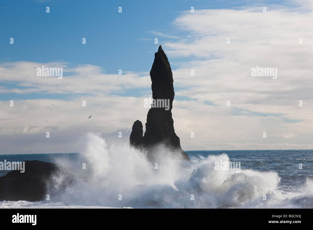 Rock-stack e wave, nr Vik, Islanda Foto Stock