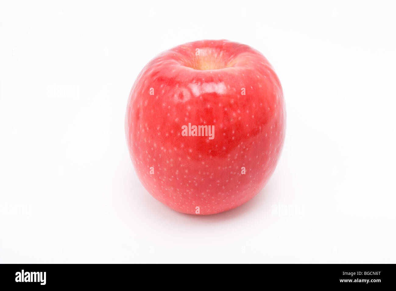 Pink Lady red apple isolata contro uno sfondo bianco Foto Stock