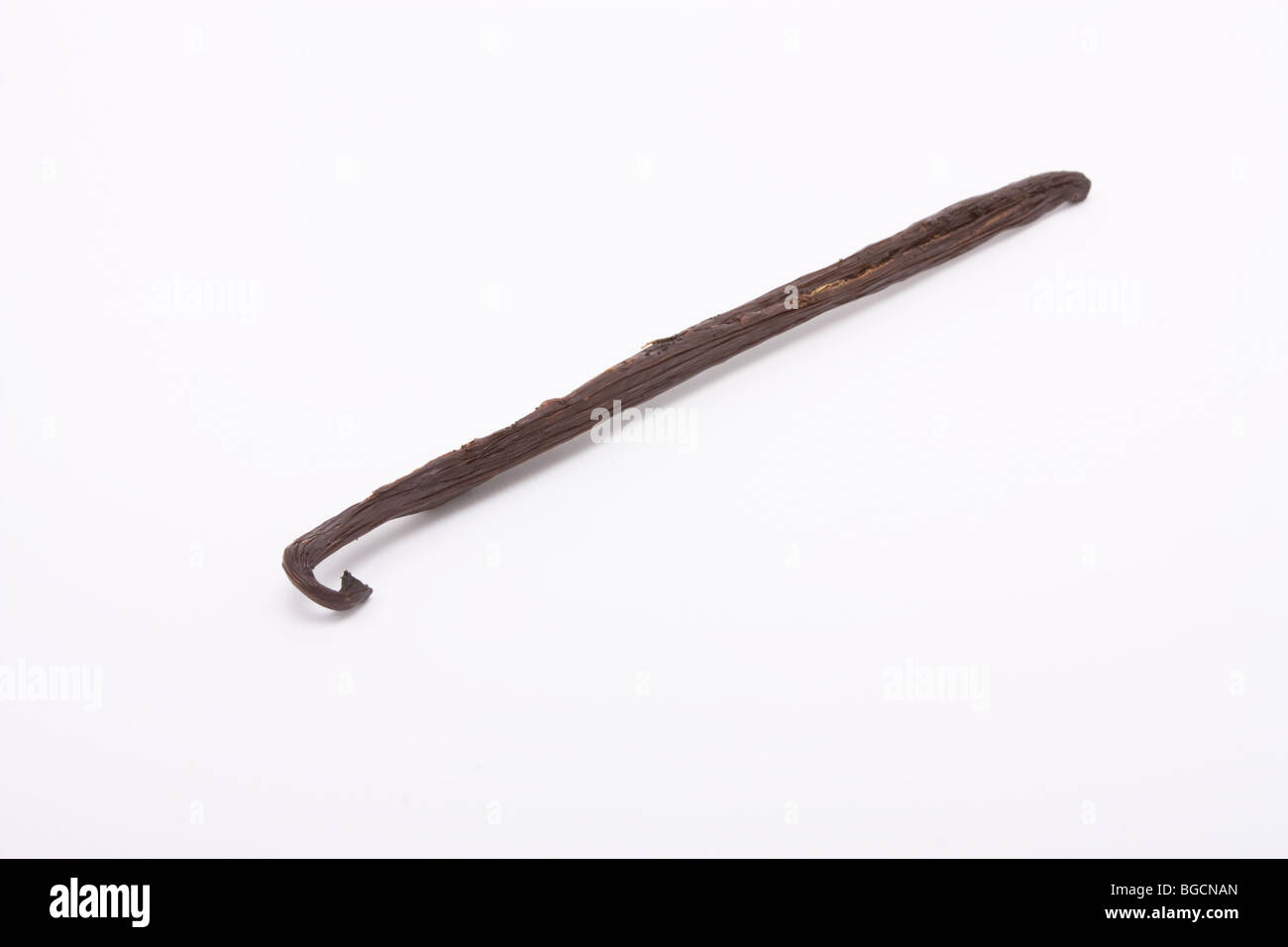 Unico baccello di vaniglia isolata contro uno sfondo bianco. Foto Stock