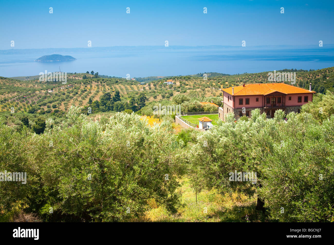 Il punto di vista di una taverna di collina nel villaggio di Parthenonas, penisola di Sithonia, Grecia in estate. Foto Stock