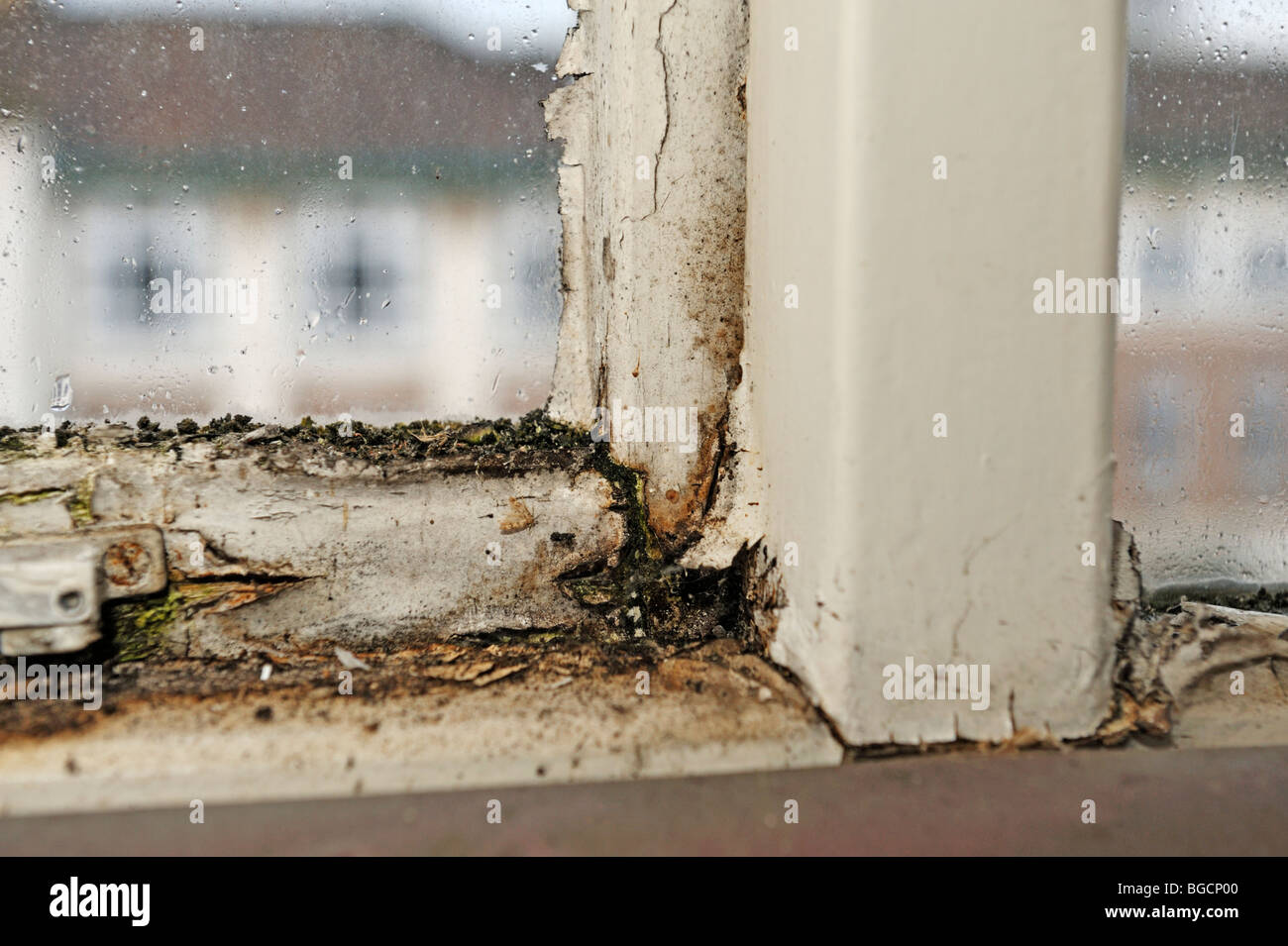 Marciume in legno del telaio della finestra Foto Stock
