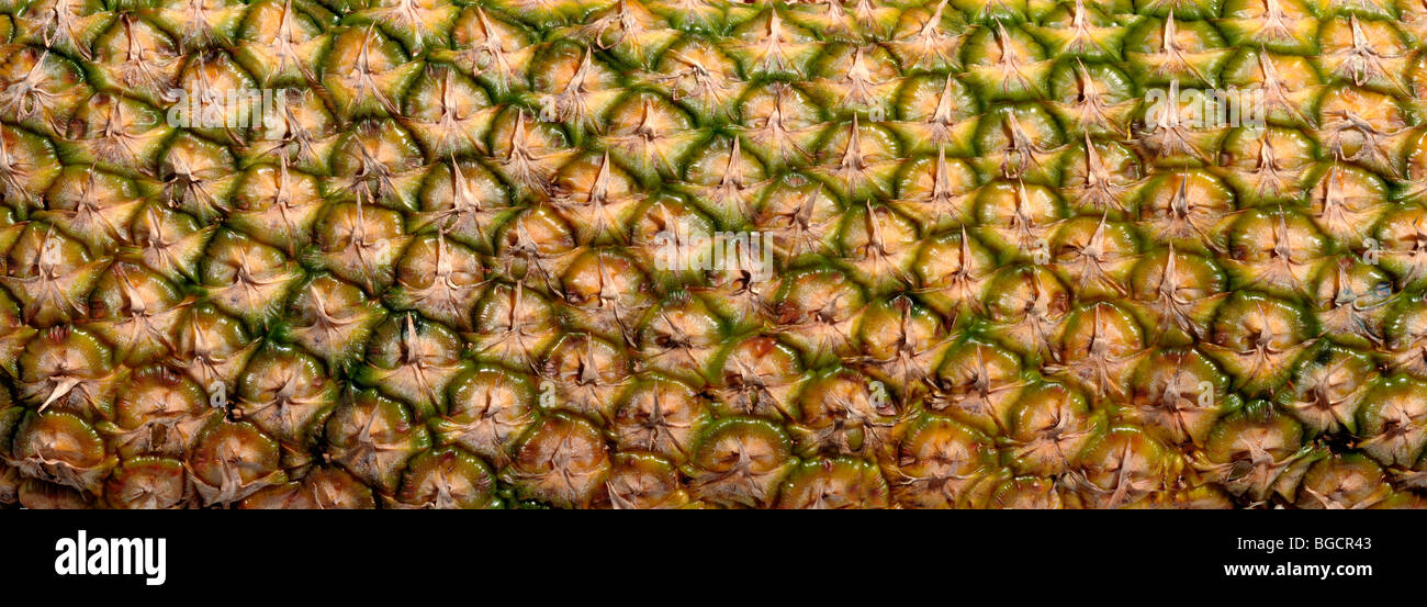 Pelle di ananas Foto Stock