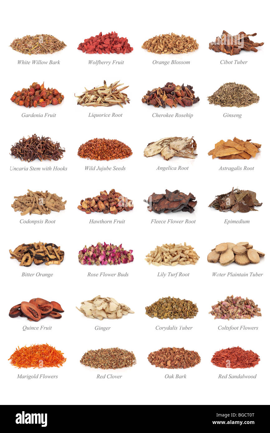 Medicinali cinesi la raccolta di erbe con titoli, isolato su sfondo bianco. Foto Stock