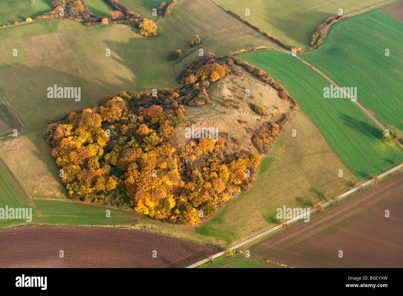 Fotografia aerea, Feldholzinsel legno, Habichtswald cresta boscosa in autunno, Kassel, Nord Hesse, Hesse, Germania, Europa Foto Stock