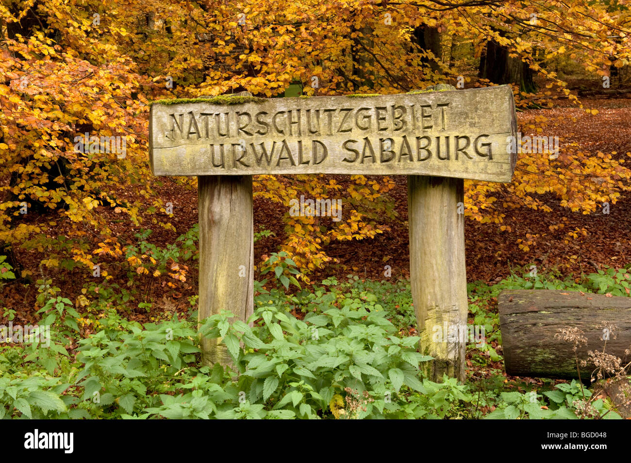 Ingresso segno, riserva naturale, Sababurg foresta vergine, Reinhardswald, Hofgeismar, Nord Hesse, Hesse, Germania, Europa Foto Stock