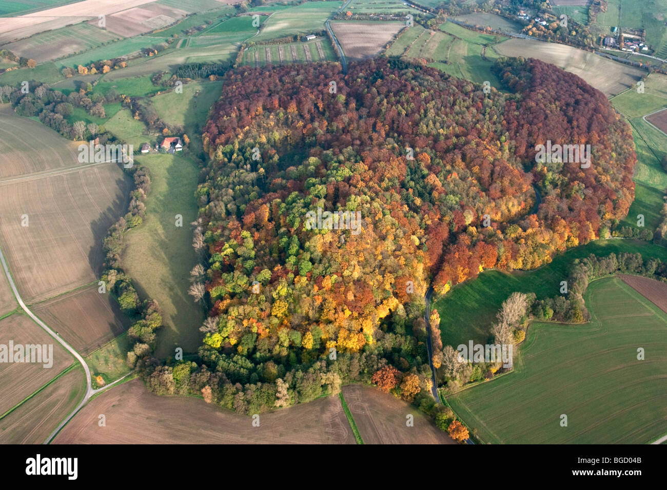 Vista aerea, Habichtswald cresta boscosa in autunno, Kassel, Nord Hesse, Hesse, Germania, Europa Foto Stock