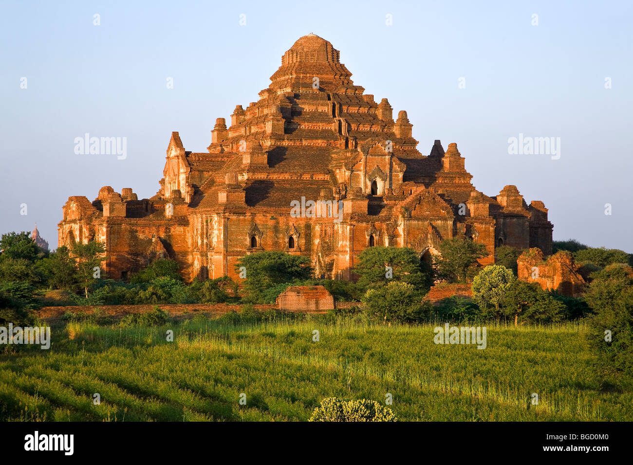 Dhammayangyi Tempio. Bagan. Myanmar Foto Stock