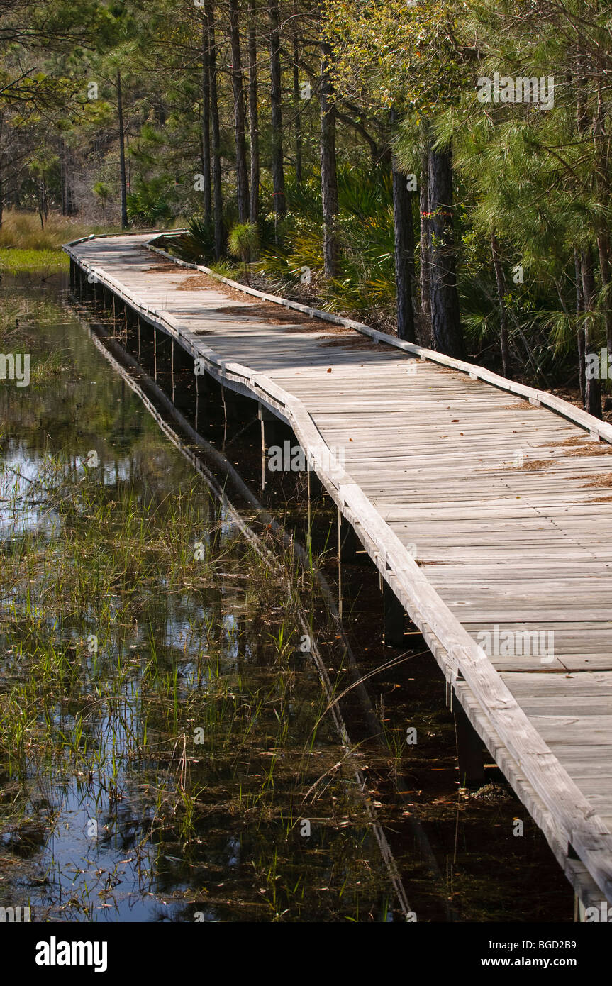 Guana Tolomato Matanzas National estuario riserva di ricerca St. Johns County Florida, Stati Uniti d'America. Foto Stock